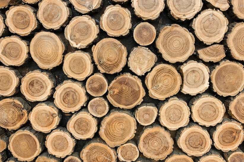 Какие дрова помогут почистить трубу дымохода от сажи